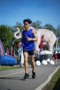 BIB: 
                            <button type="button" onclick="openModal(26542195)" class="btn btn-primary btn-sm float-right btn-popup" data-toggle="modal" data-target=".modal-high-quality">
                        <i class="fas fa-shopping-cart"></i> Add to Cart
                    </button>
                                            <button type="button" onclick="isThisMe(26542195, true)" class="btn btn-success btn-sm float-right btn-popup btn-isme hidden" data-toggle="tooltip" data-placement="bottom" title="นี่คือรูปของคุณใช่ไหม คลิกที่นี่เพื่อเอาเข้าอัลบั้ม">
                        <i class="fas fa-plus"></i> Add to album
                    </button>
                    <button type="button" onclick="isThisMe(26542195, false)" class="btn btn-warning btn-sm float-right btn-popup btn-isnotme hidden">
                        <i class="fas fa-ban"></i> Remove from album
                    </button>